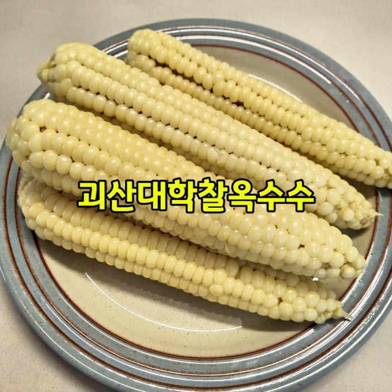 괴산대학찰옥수수30개 더착한농부 찰옥수수 찌는 방법
