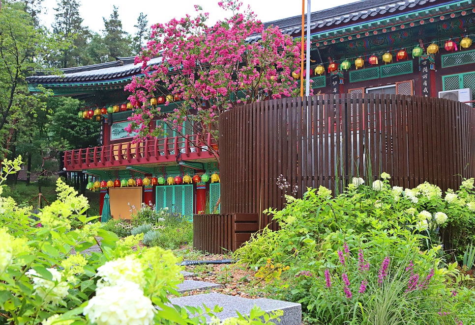 풍경 사진 2