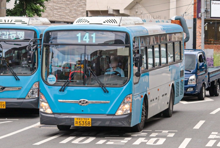 고상 사진 2