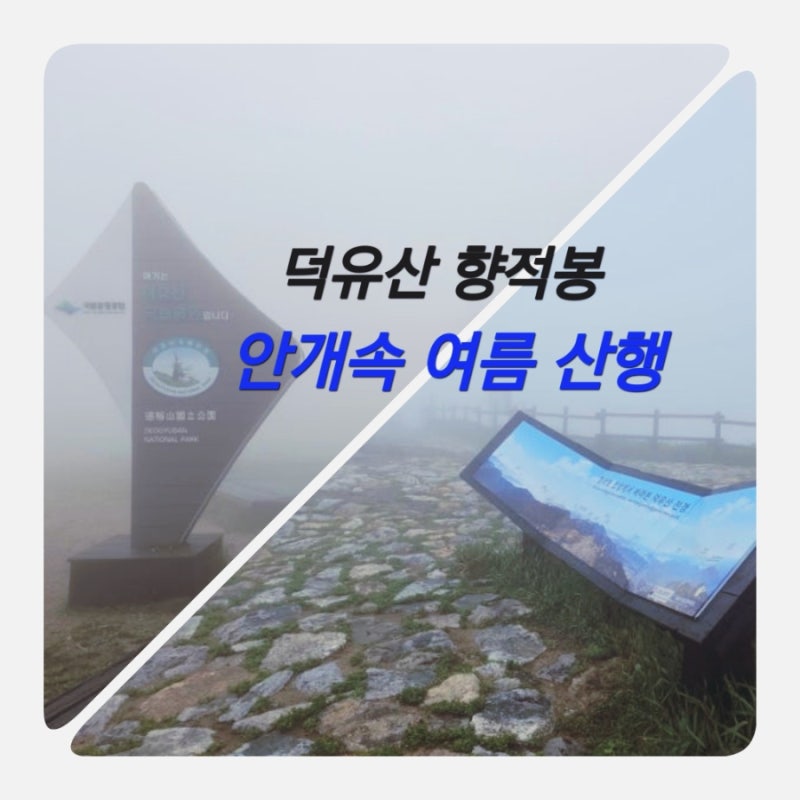 무주, 덕유산 향적봉 안개비속 걷다~^~~#