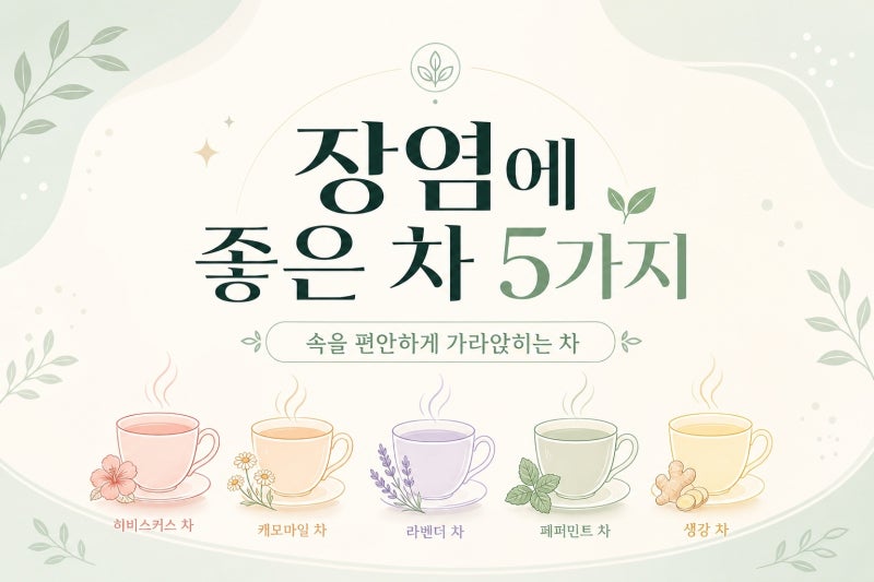 장염에 좋은 차 추천 5가지: 속을 편안하게 가라앉히는 차