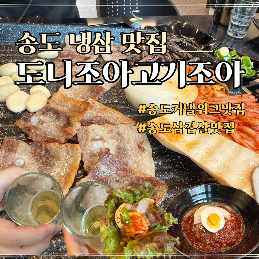 도니조아고기조아 사진 1