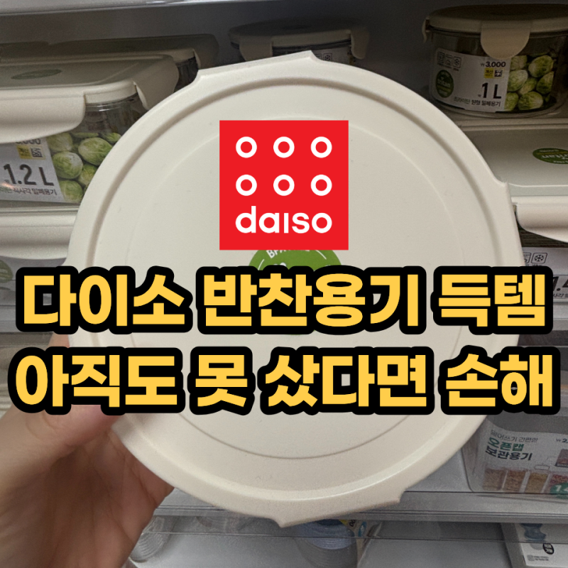 3000원짜리인데 품절된다는 다이소 반찬용기 뭐가 다르길래?