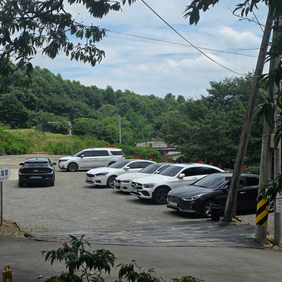 우드페커 사진 3