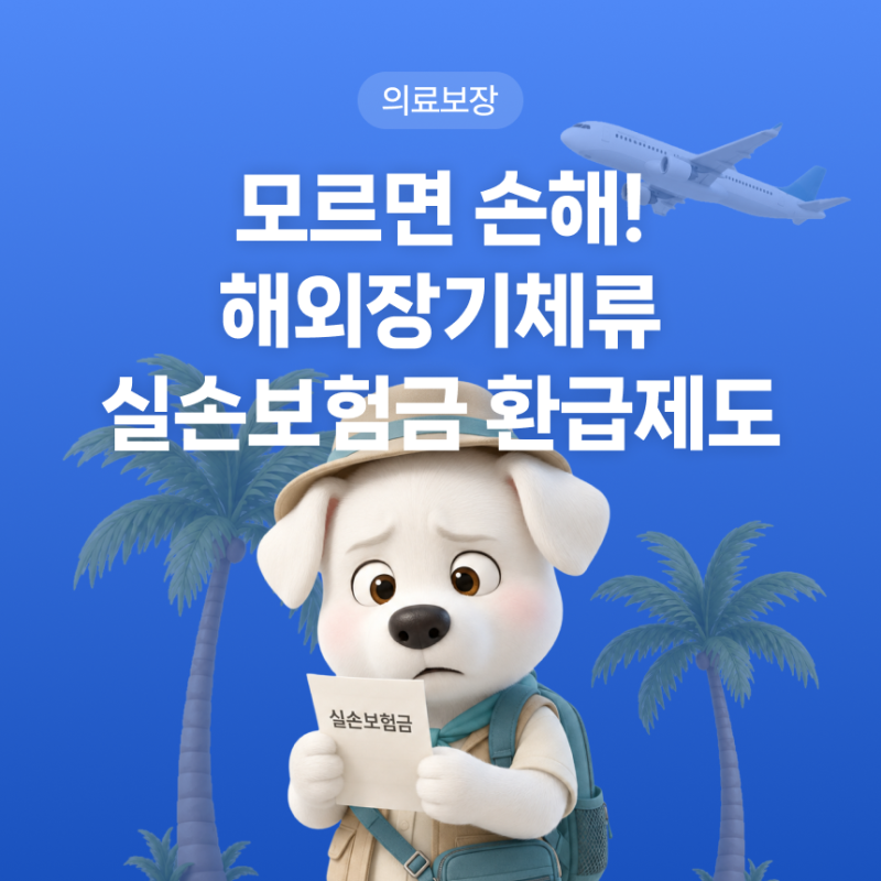 모르면 손해! 해외 장기체류 실손보험금 환급제도!