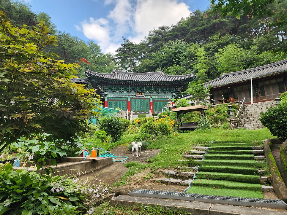 성령산 사진 5