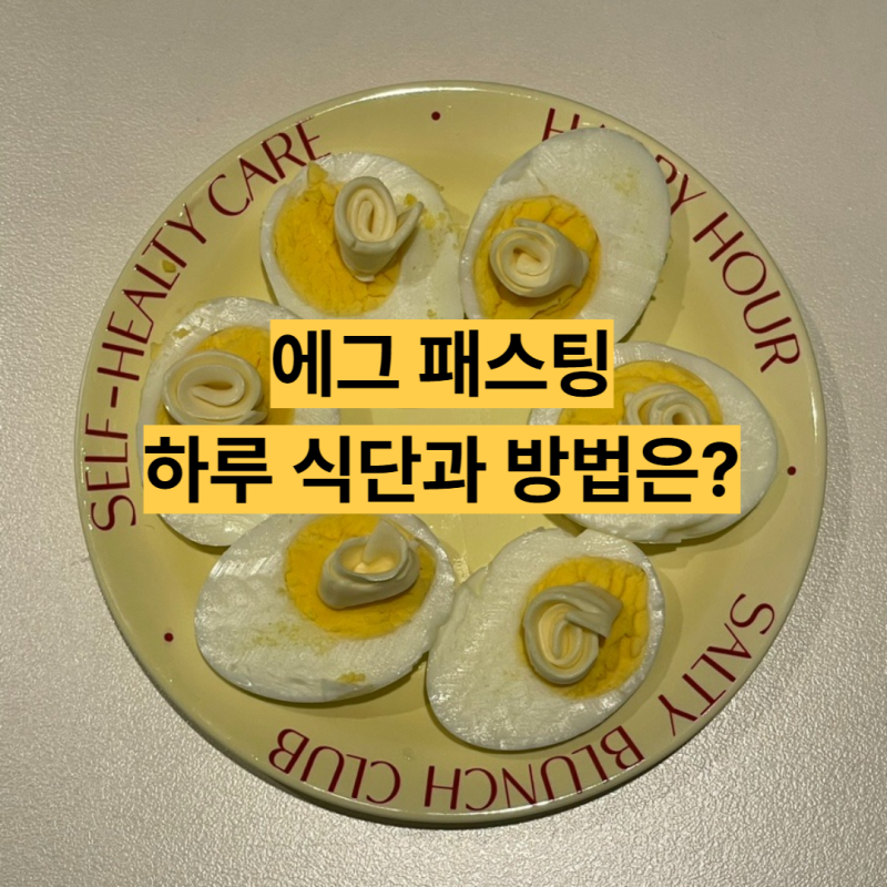 급찐급빠 식단으로 화제인 에그 패스팅, 달걀만 먹는 다이어트?하루 식단까지!