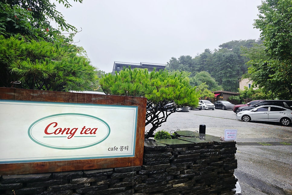 콩티 사진 1