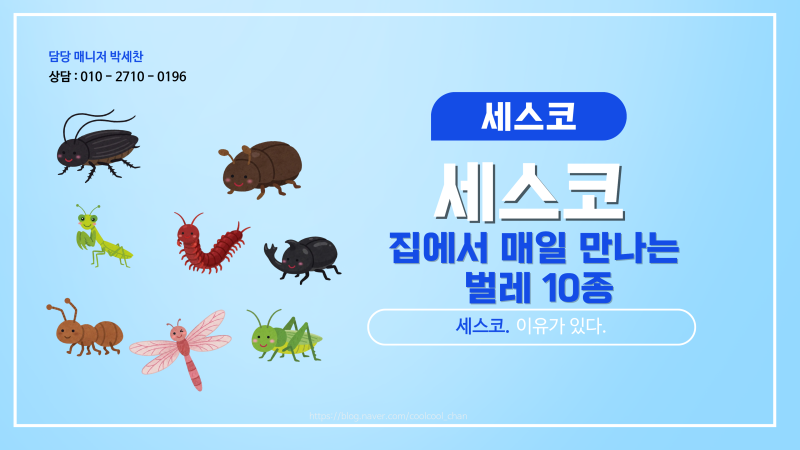 집에서 매일 만나는 벌레 10종, 이유가 있다.