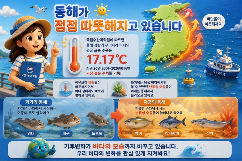 동해에도 상어가 나타난다고? 기후변화가 바꾼 바다의 놀라운 변화 이야기