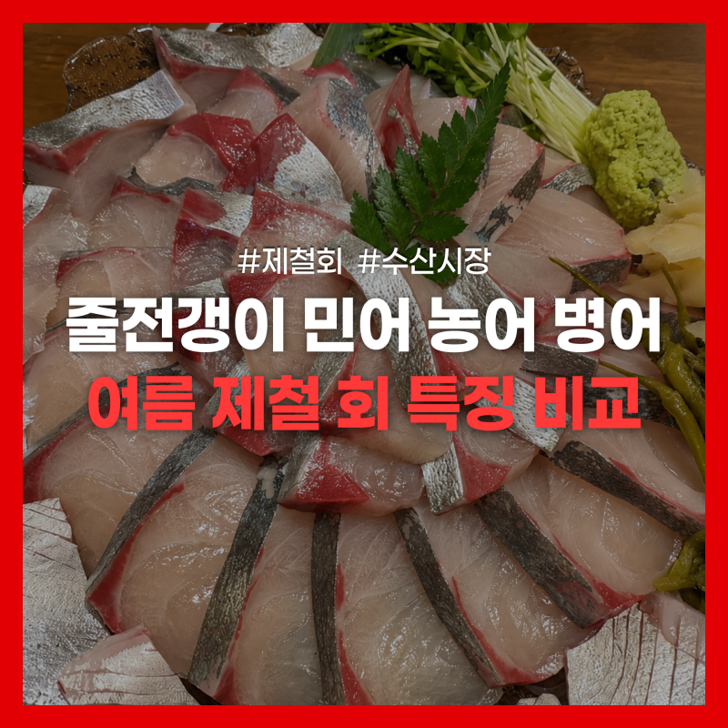 여름 제철 회 추천 4가지 | 병어·줄전갱이·민어·농어 지금 먹어야 맛있는 이유