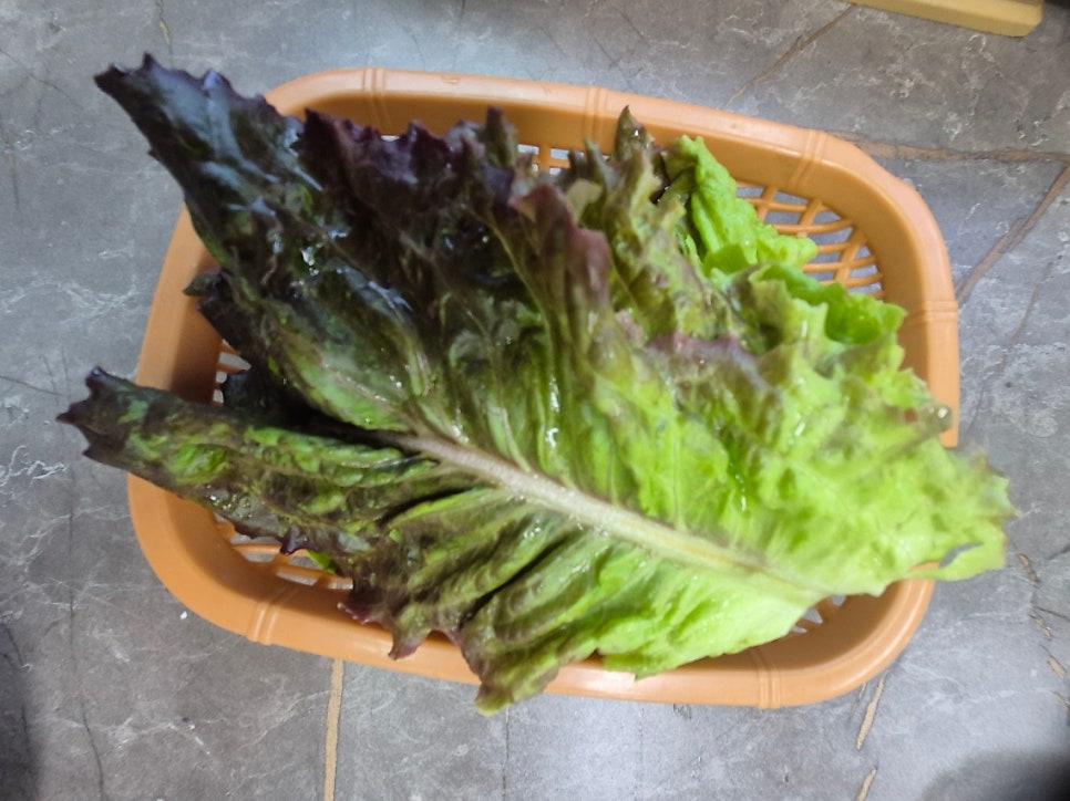 강뚝식당 사진 5