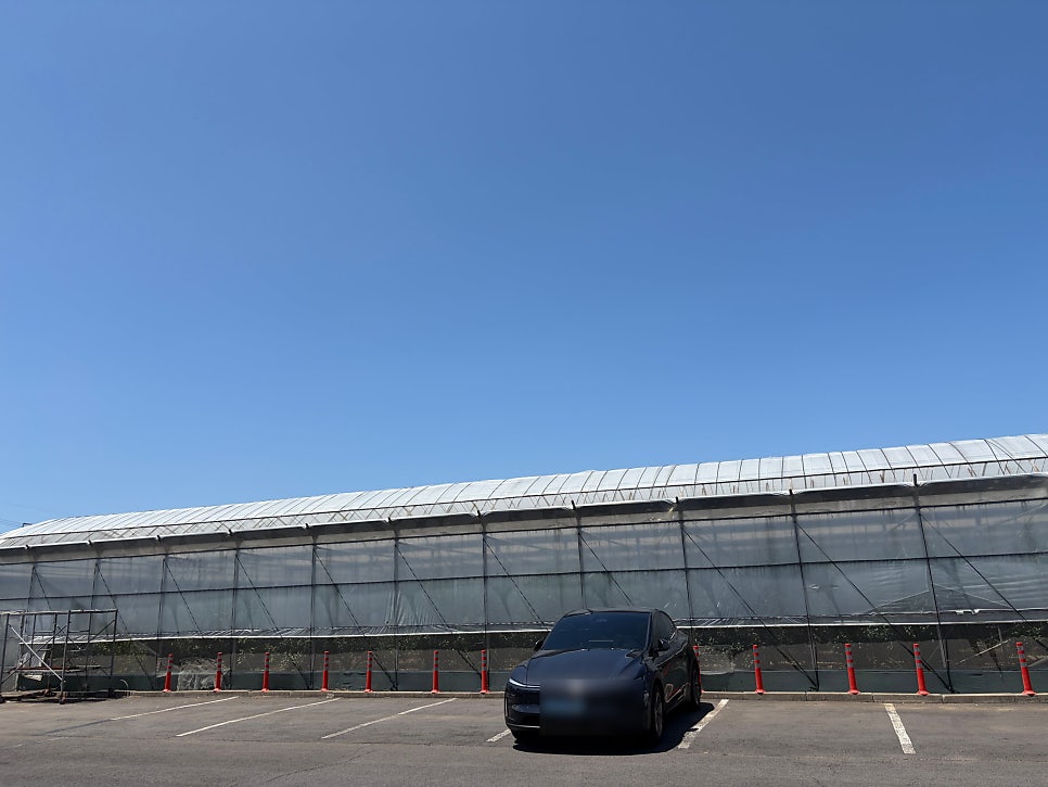 다담해장국 사진 7