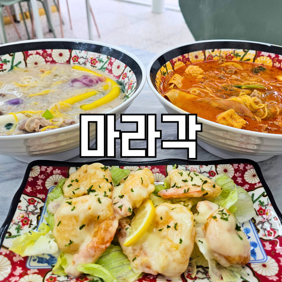마라각 사진 1
