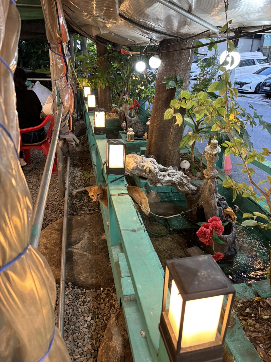 4대조선막걸리 사진 2