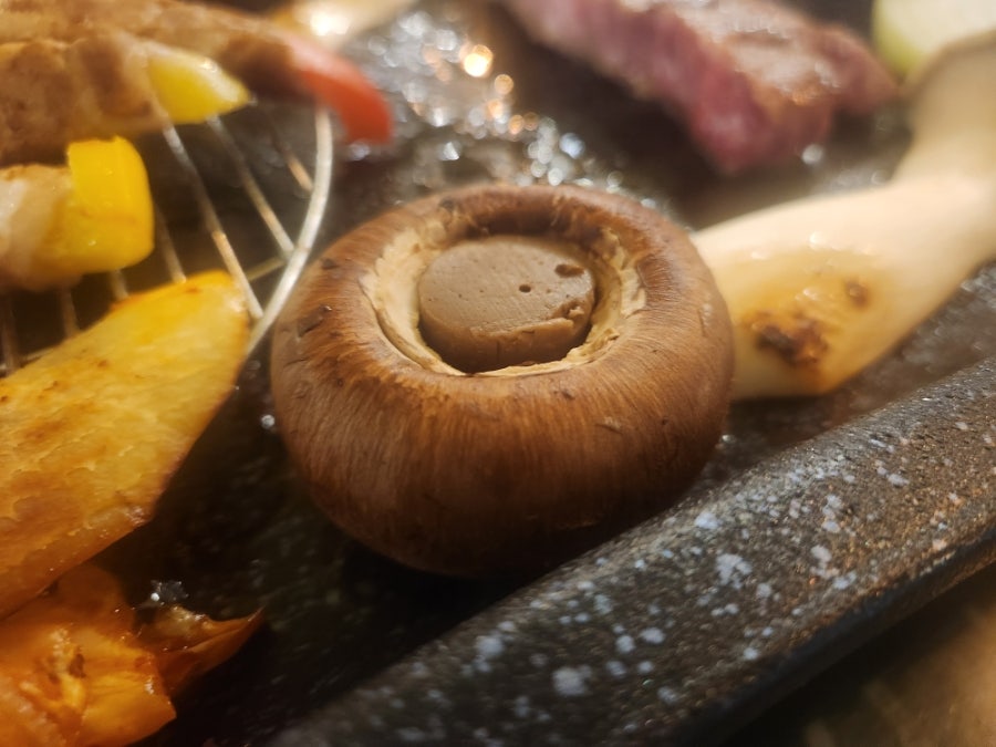 정육캠프 사진 5
