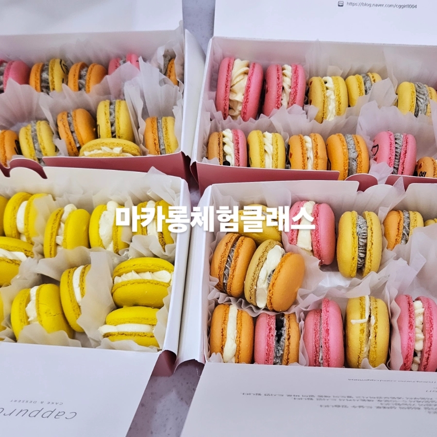 카푸롱 사진 3