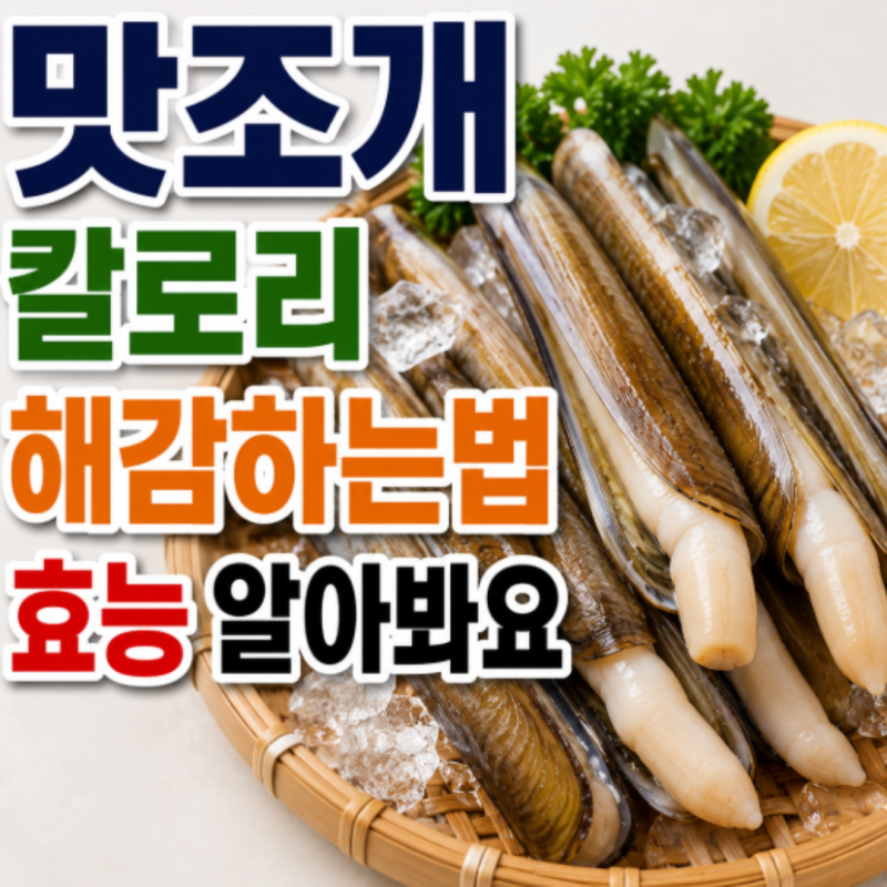 맛조개 칼로리 해감하는법 효능 알아봐요