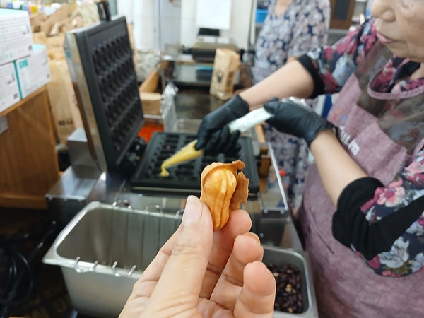 고창민박 사진 5