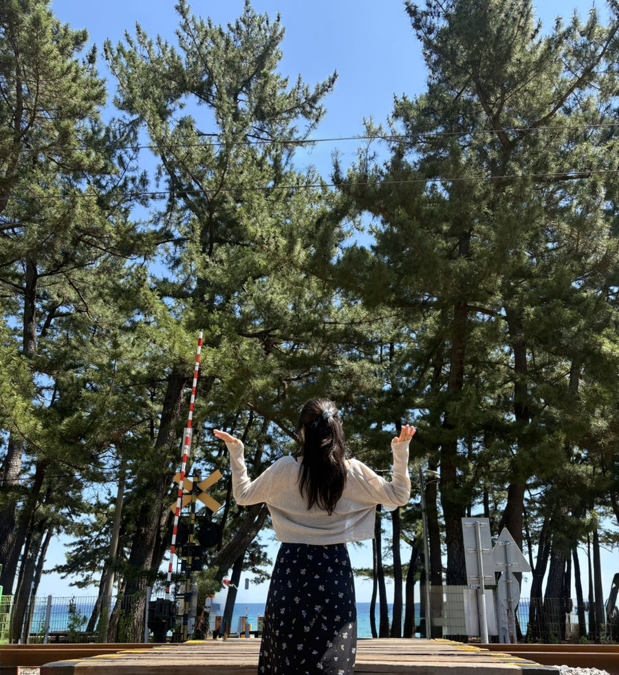 초당꼬마김밥 강릉점 사진 3