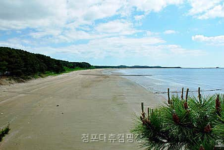 청포대 휴캠핑장 사진 2