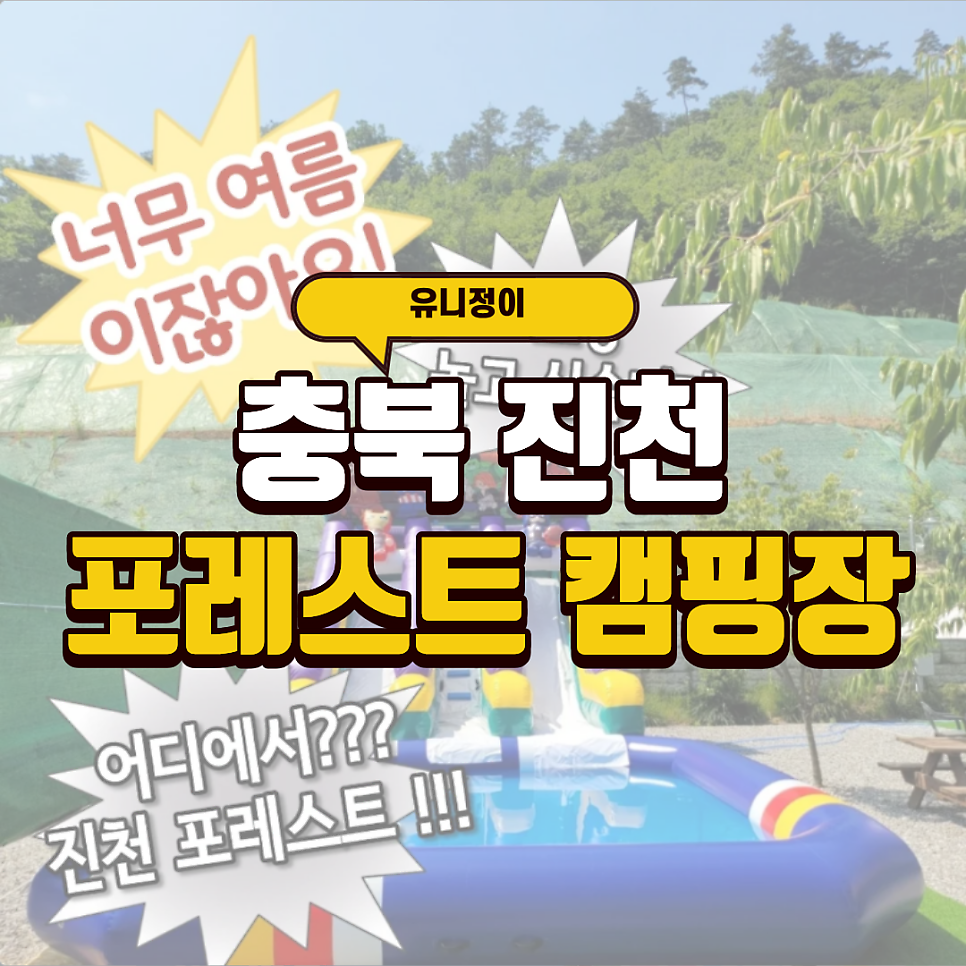 포레스트 사진 1
