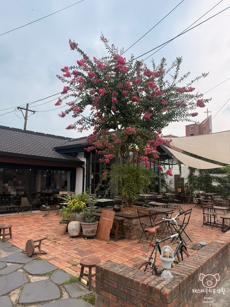 노트릭 사진 2