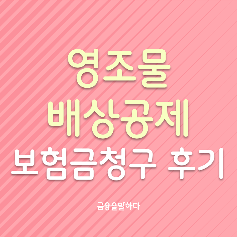 영조물배상책임공제 공용주차장 보험금청구 후기