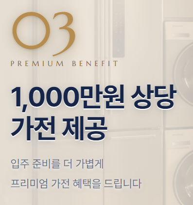 더드림 사진 4