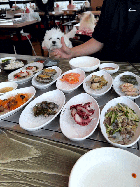 구읍뱃터조개구이 맛집 영종도조개92 애견동반 가능한 바다뷰 맛집