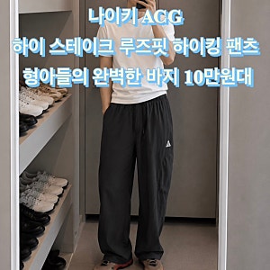 나이키 ACG 하이 스테이크 루즈핏 하이킹 팬츠 형아들의 완벽한 바지 10만원대