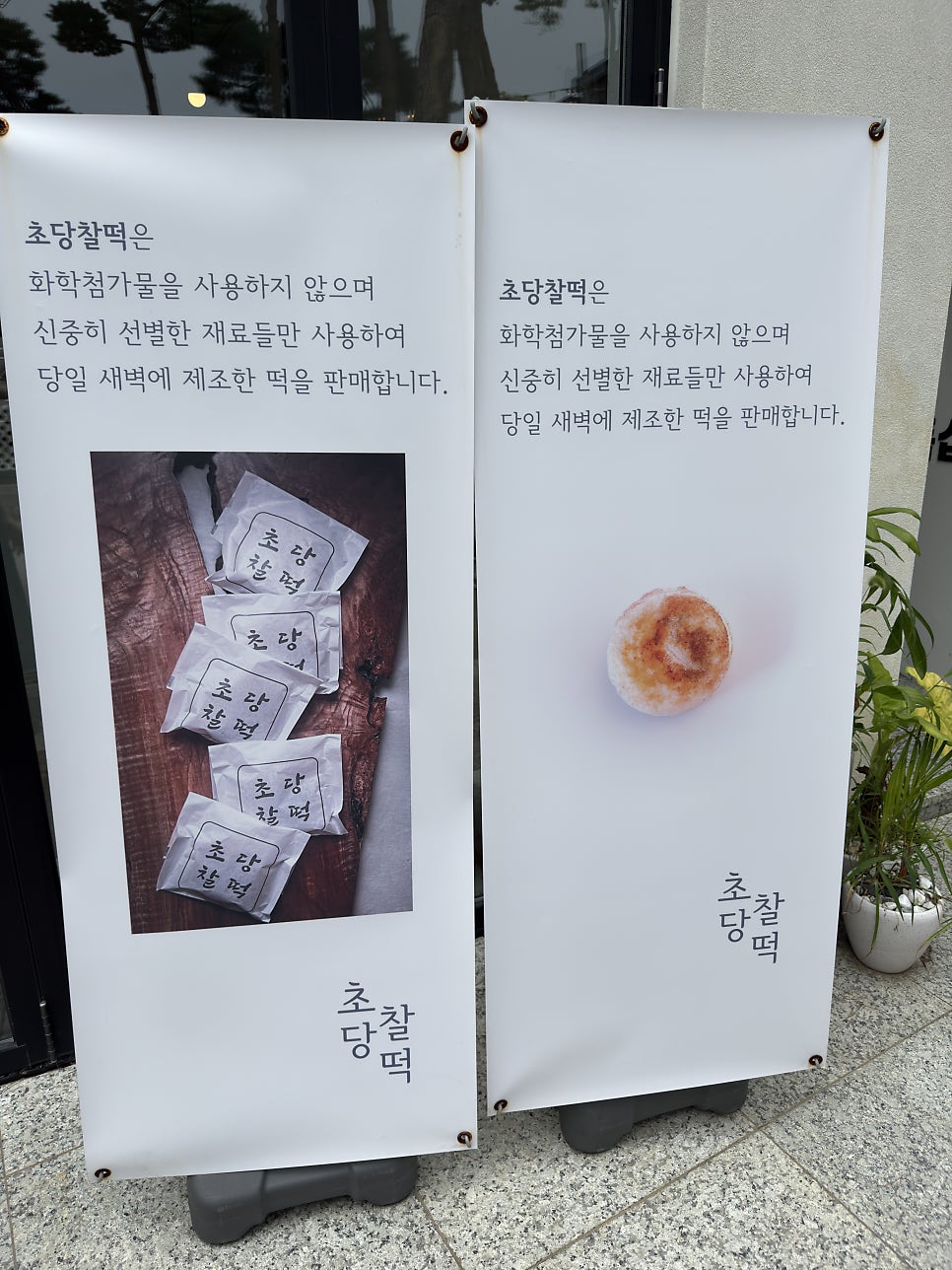 초당찰떡 사진 4