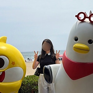 미국 서배너 탠저아울렛 코치 가방 가격