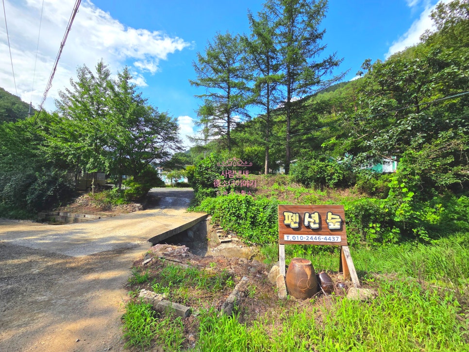 펜션숲 사진 2