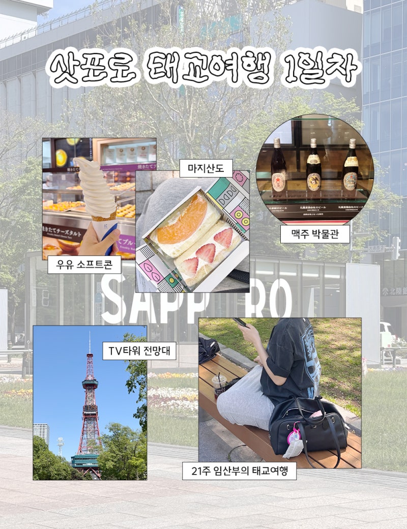유산 전 태교여행 ❶ / 삿포로 6월 초 날씨, 오도리 공원, 맥주 박물관, 토리톤 스시