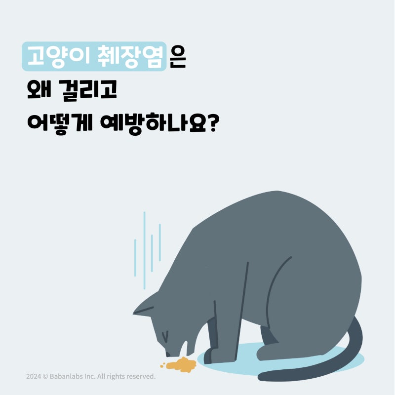 고양이가 밥을 안 먹고 축 쳐져요, 고양이 췌장염의 치료법과 치료 후 유의사항 2편_석천사거....