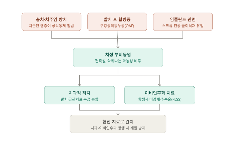 치성 부비동염, 충치와 임플란트가 부비동염의 원인이 될 수 있습니다