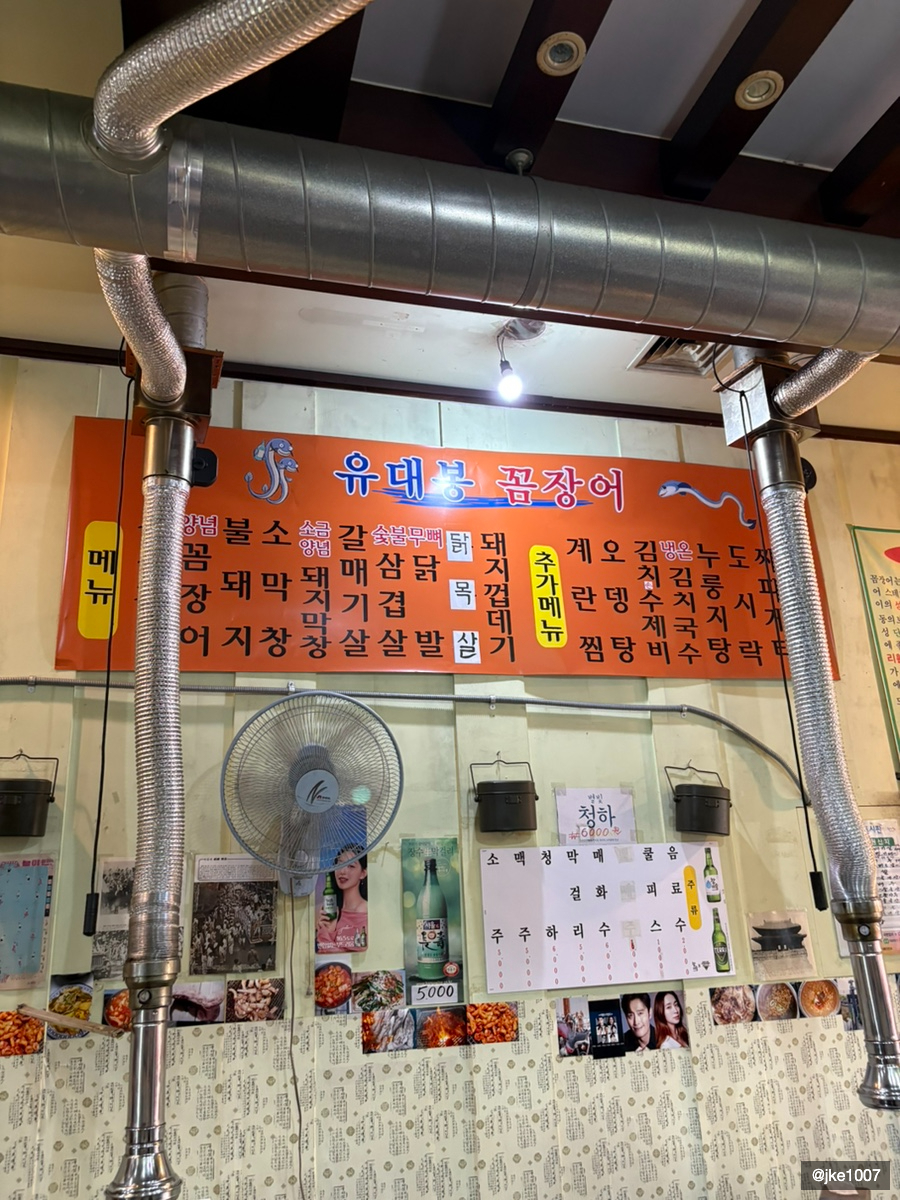 유대봉꼼장어 사진 4
