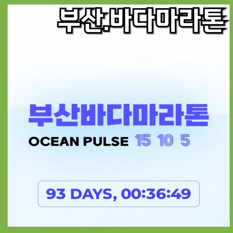 2026년 부산바다마라톤 일정부터 코스, 참가비, 그리고 유사 대회 구분법