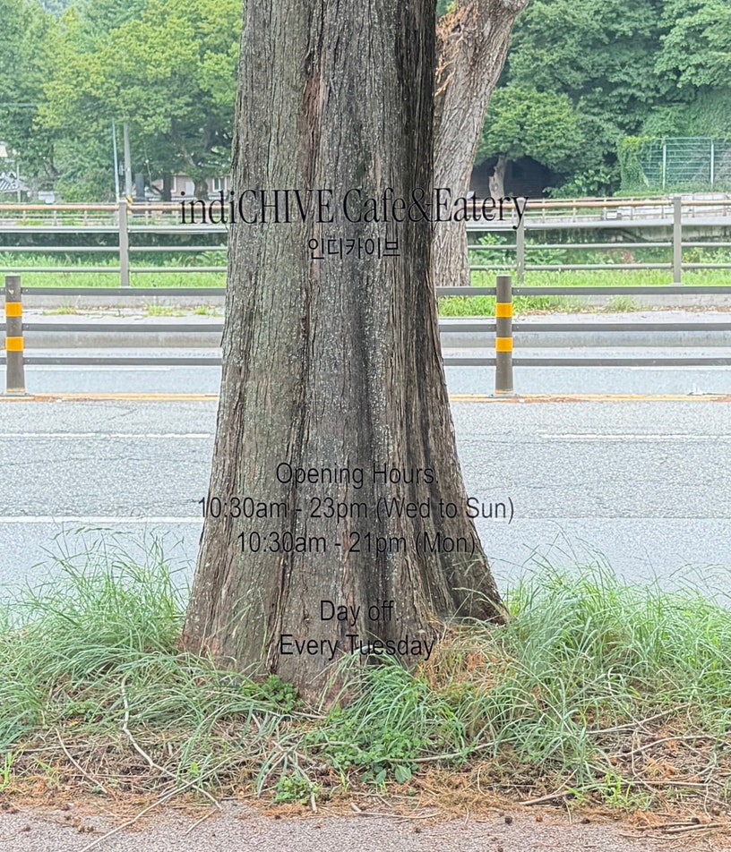 인디카이브 사진 2