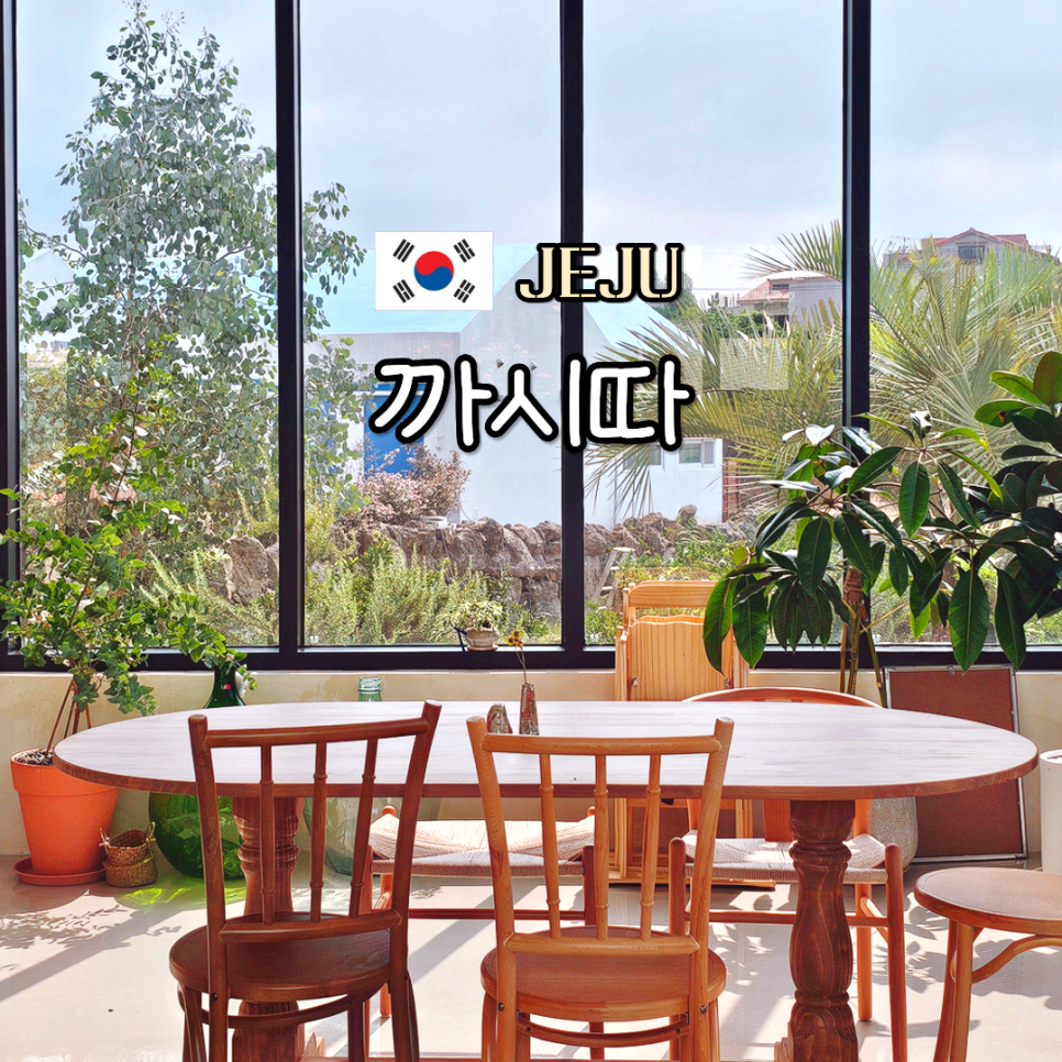 까시따 사진 1