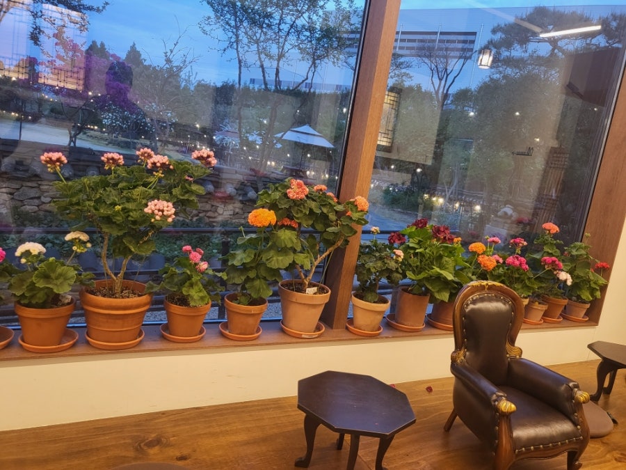 희원 사진 2