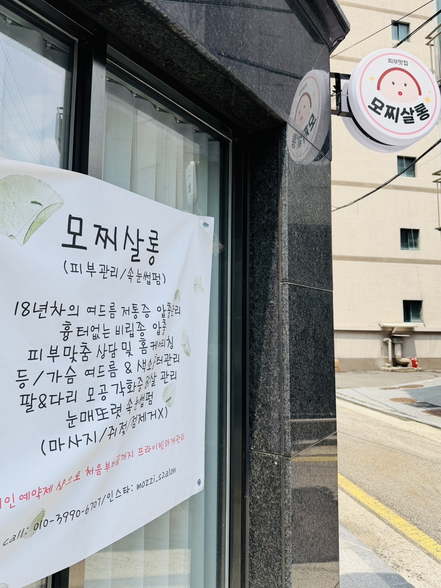 모찌 사진 4