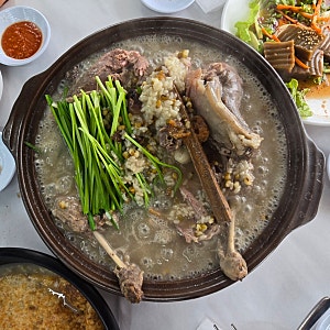 경기도 시흥 물왕리 맛집| 비산 누룽지 백숙 시흥물왕호수점