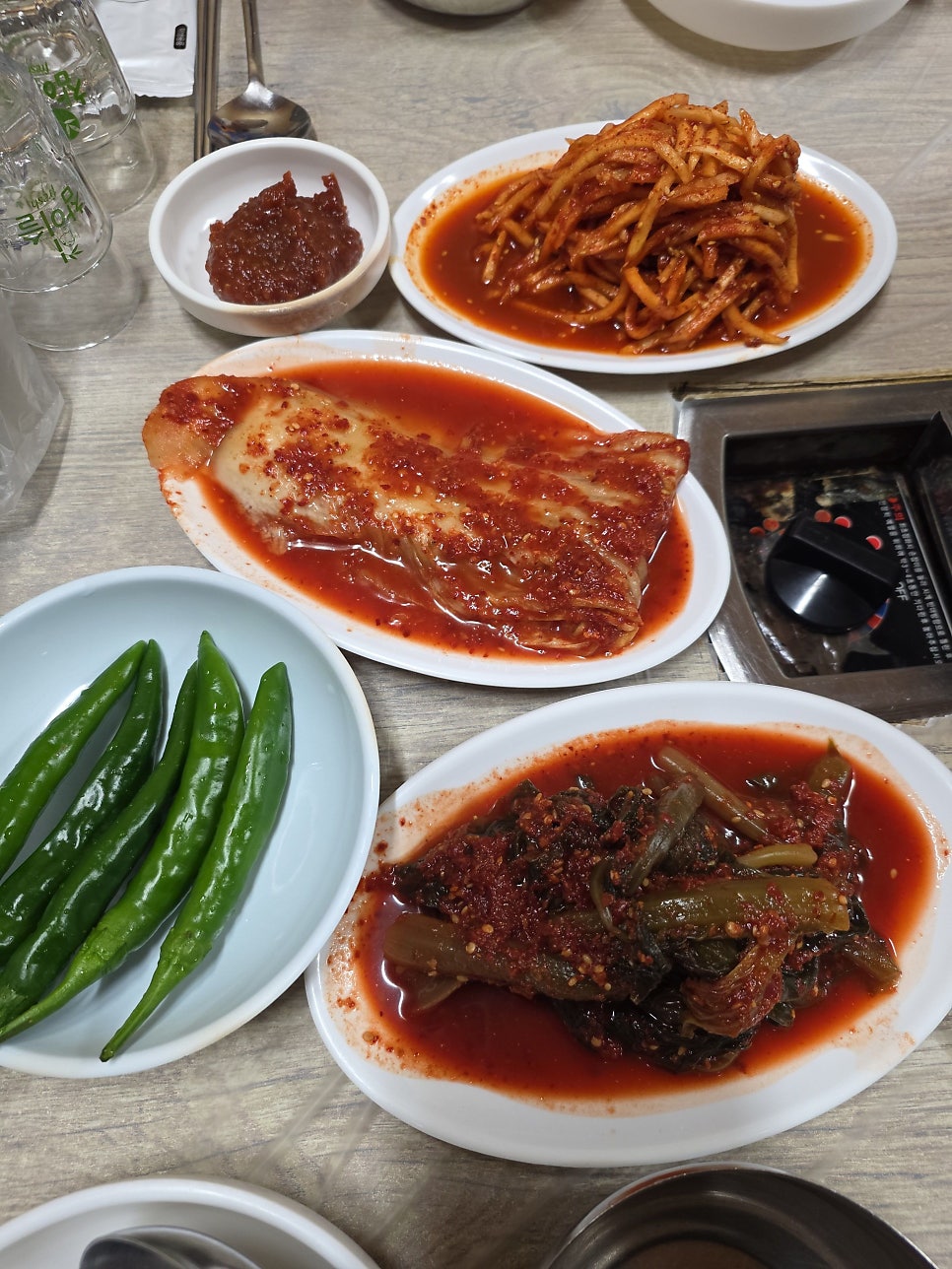 대숲 사진 6