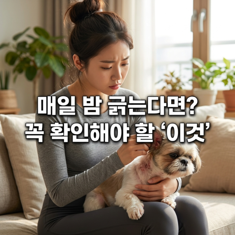 단순 습진인 줄 알고 방치했다가 큰일 날 뻔했어요, 강아지 옴 진드기 증상과 확실한 퇴치법