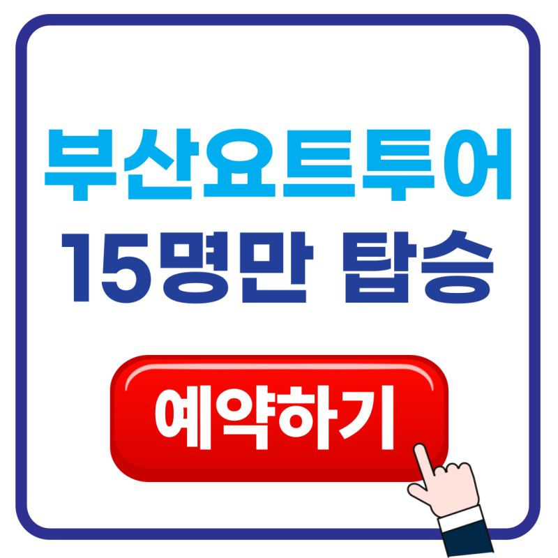 부산요트투어 15명만 탑승하면 뭐가 다를까, 해운대 광안리 야경 비교