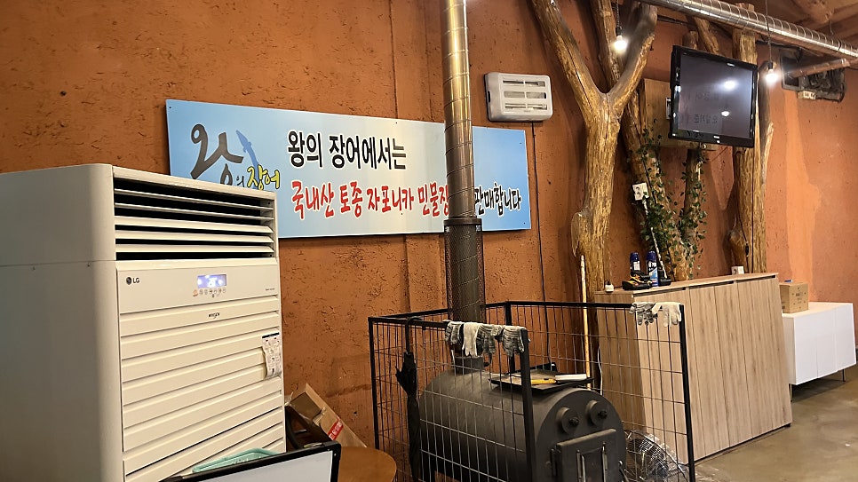 왕의장어 사진 6
