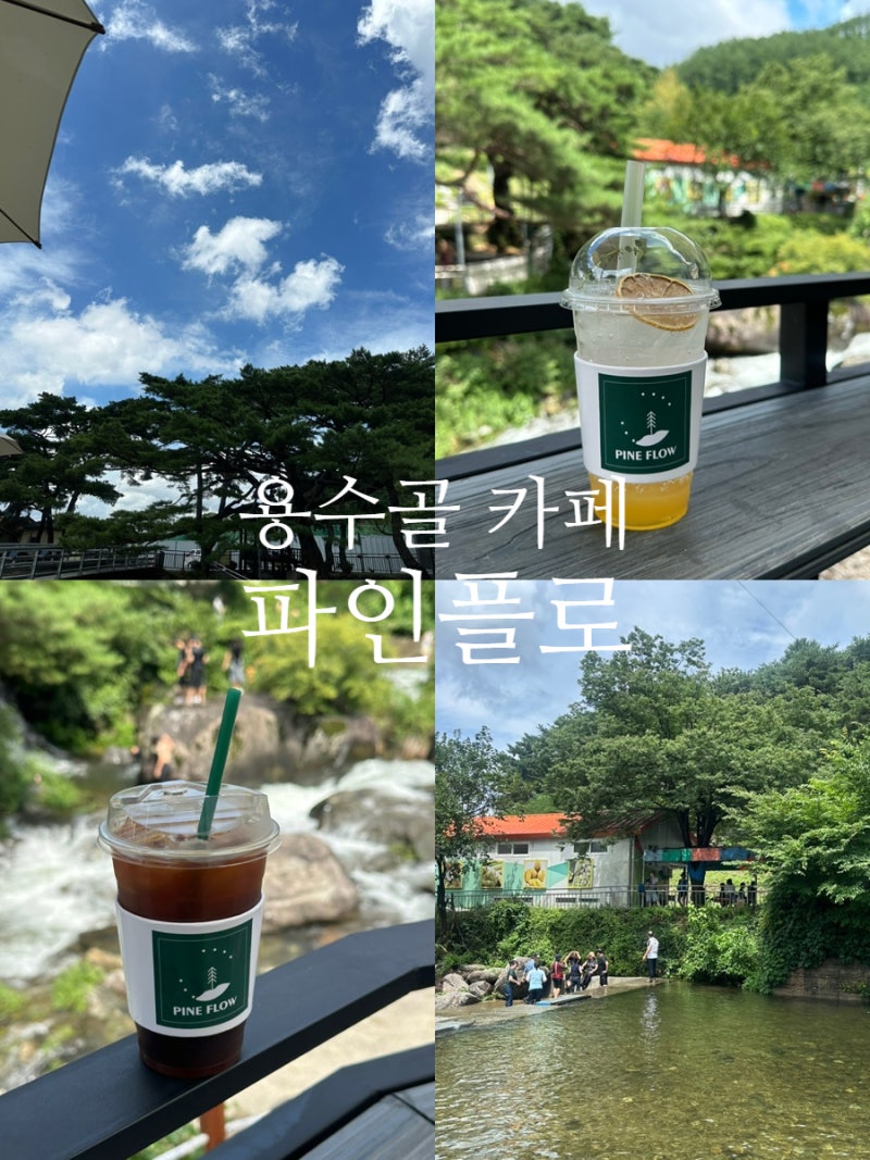 원주 물놀이 계곡 카페 용수골 애견 동반 테라스 계곡뷰카페 파인플로