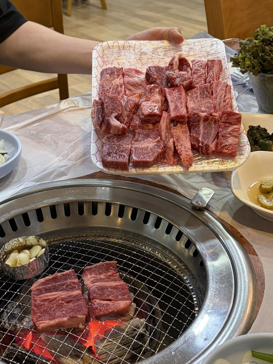 기둥참하누 사진 6